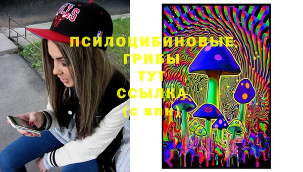 a pvp Алзамай